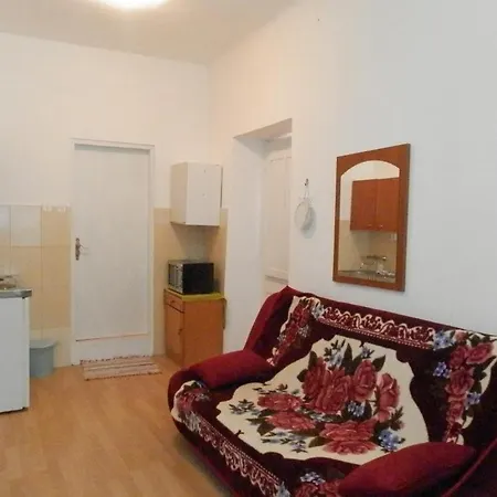 Ξενοδοχείο με διαμερίσματα Soti Mlini